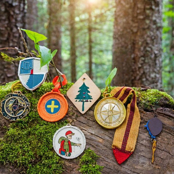 Spejdermærker på en mosdækket gren i en skov