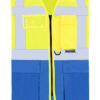 Signal Yellow/Blue