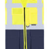 Signal Yellow/Navy