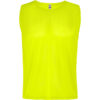 Fluor Yellow