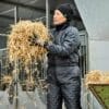 Person arbejder med hø i stalden