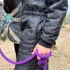 Person holder lilla reb ved siden af hest