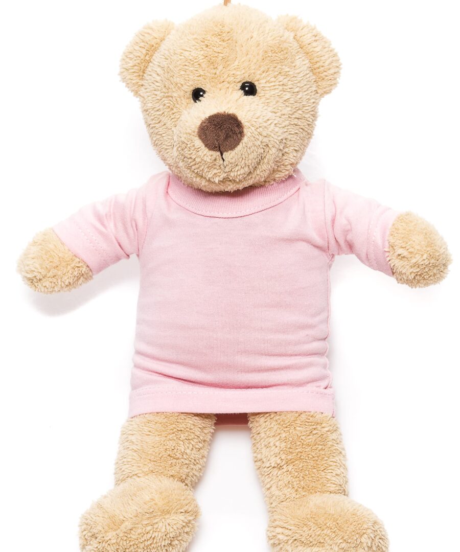 Teddy bjørn i lyserød trøje