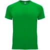 Fern Green