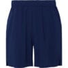Blue Navy
