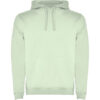 Mist Green