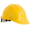 Signal Yellow