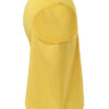 Signal Yellow