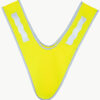 Signal Yellow