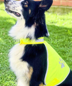 stretchy hi vis safety vest for dogs buenos aires kx104