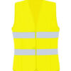 Signal Yellow